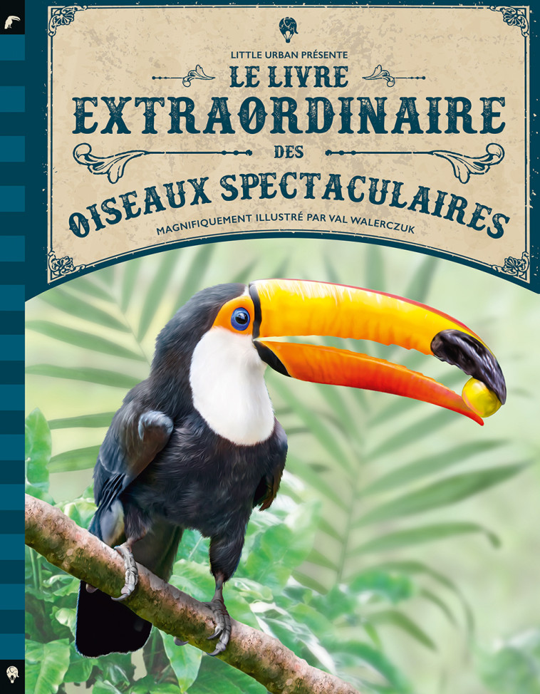 LE LIVRE EXTRAORDINAIRE DES OISEAUX SPECTACULAIRES - WALERCZUK Val WALERCZUK Val, JACKSON Tom JACKSON Tom - LITTLE URBAN