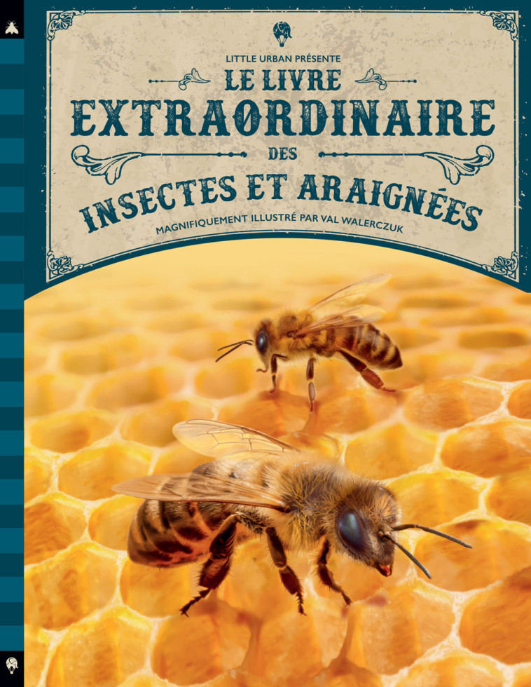 Le Livre extraordinaire des insectes et araignées - Taylor Barbara Taylor Barbara, WALERCZUK Val WALERCZUK Val - LITTLE URBAN