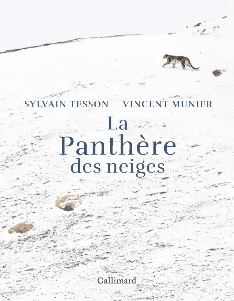 LA PANTHERE DES NEIGES - EDITION ILLUSTREE - Vincent Munier, Sylvain Tesson - GALLIM LOISIRS