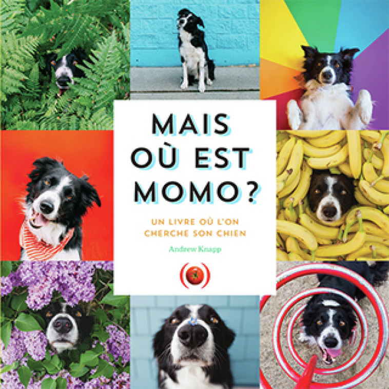 MAIS OU EST MOMO ? - UN LIVRE OU L-ON CHERCHE SON CHIEN - Andrew Knapp,  l'éditeur - GRANDES PERSONN