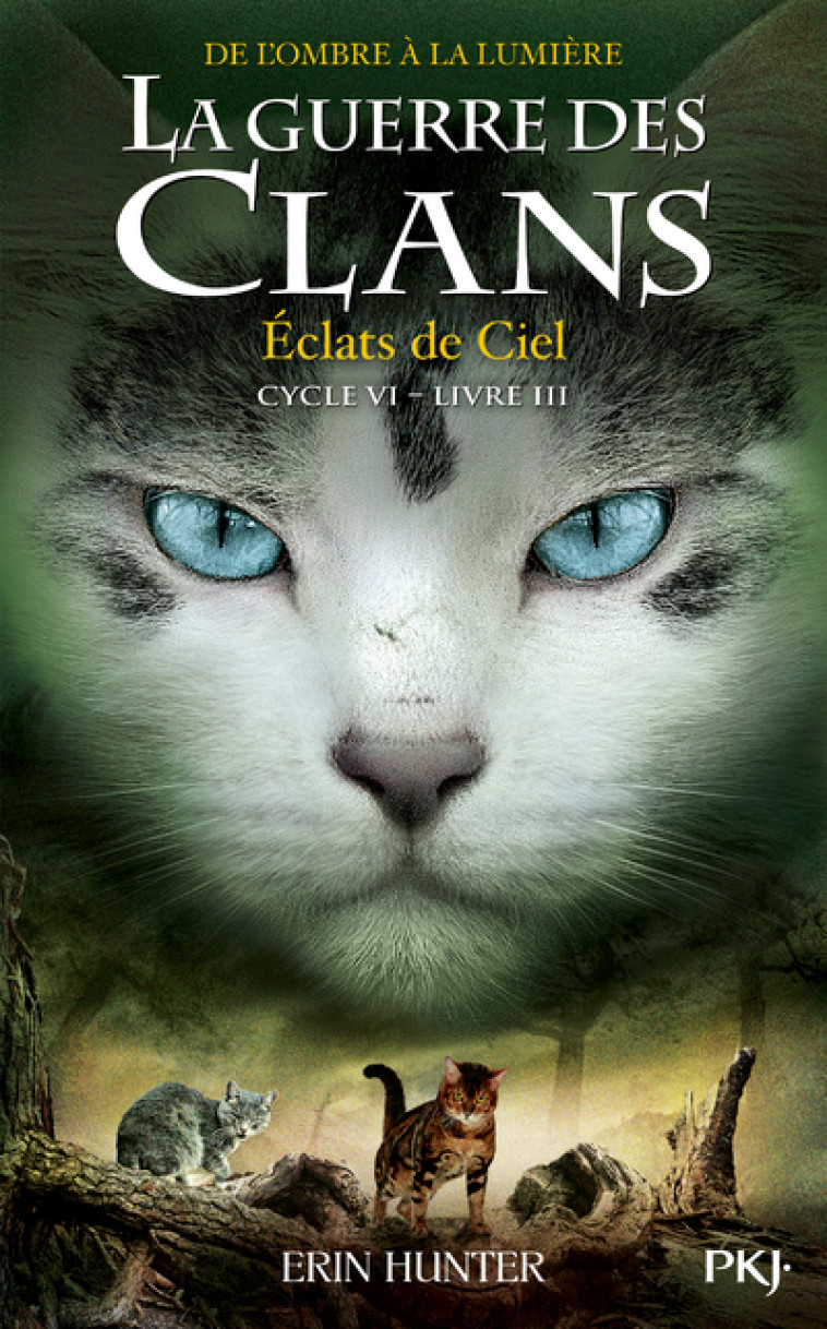 LA GUERRE DES CLANS, CYCLE VI - TOME 3 ECLATS DE CIEL - Erin Hunter, Aude Carlier - POCKET JEUNESSE