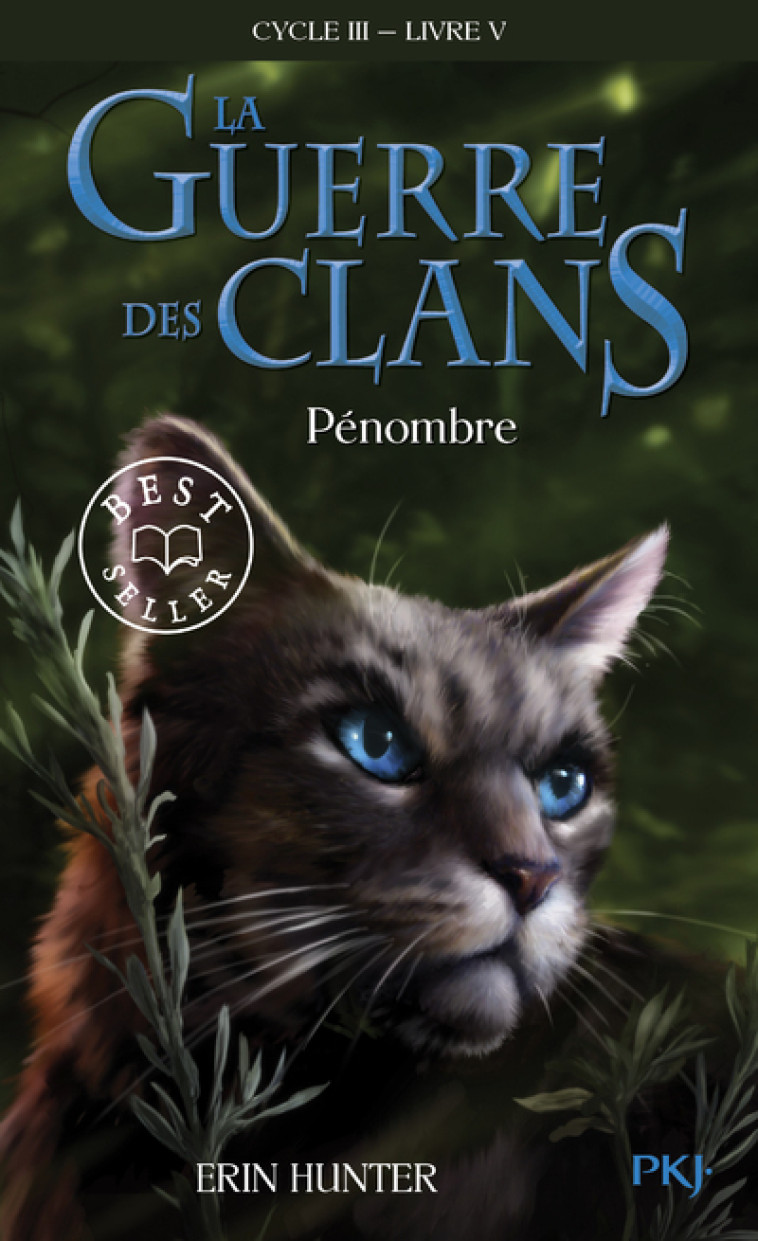 LA GUERRE DES CLANS - CYCLE III LE POUVOIR DES ETOILES - TOME 5 PENOMBRE - VOL05 - Erin Hunter - POCKET JEUNESSE