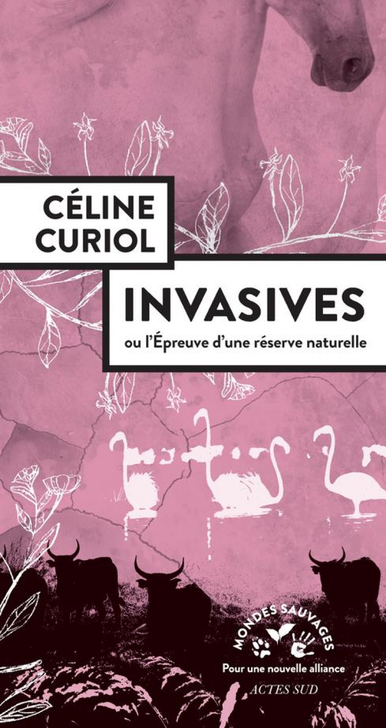 INVASIVES - OU L-EPREUVE D-UNE RESERVE NATURELLE - CURIOL CELINE - ACTES SUD