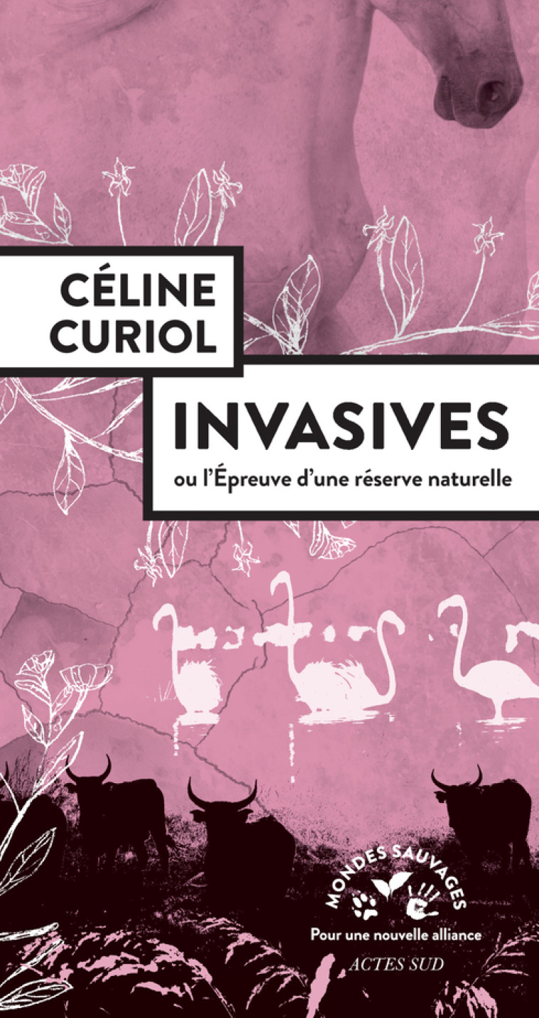 INVASIVES - OU L-EPREUVE D-UNE RESERVE NATURELLE - Céline Curiol - ACTES SUD