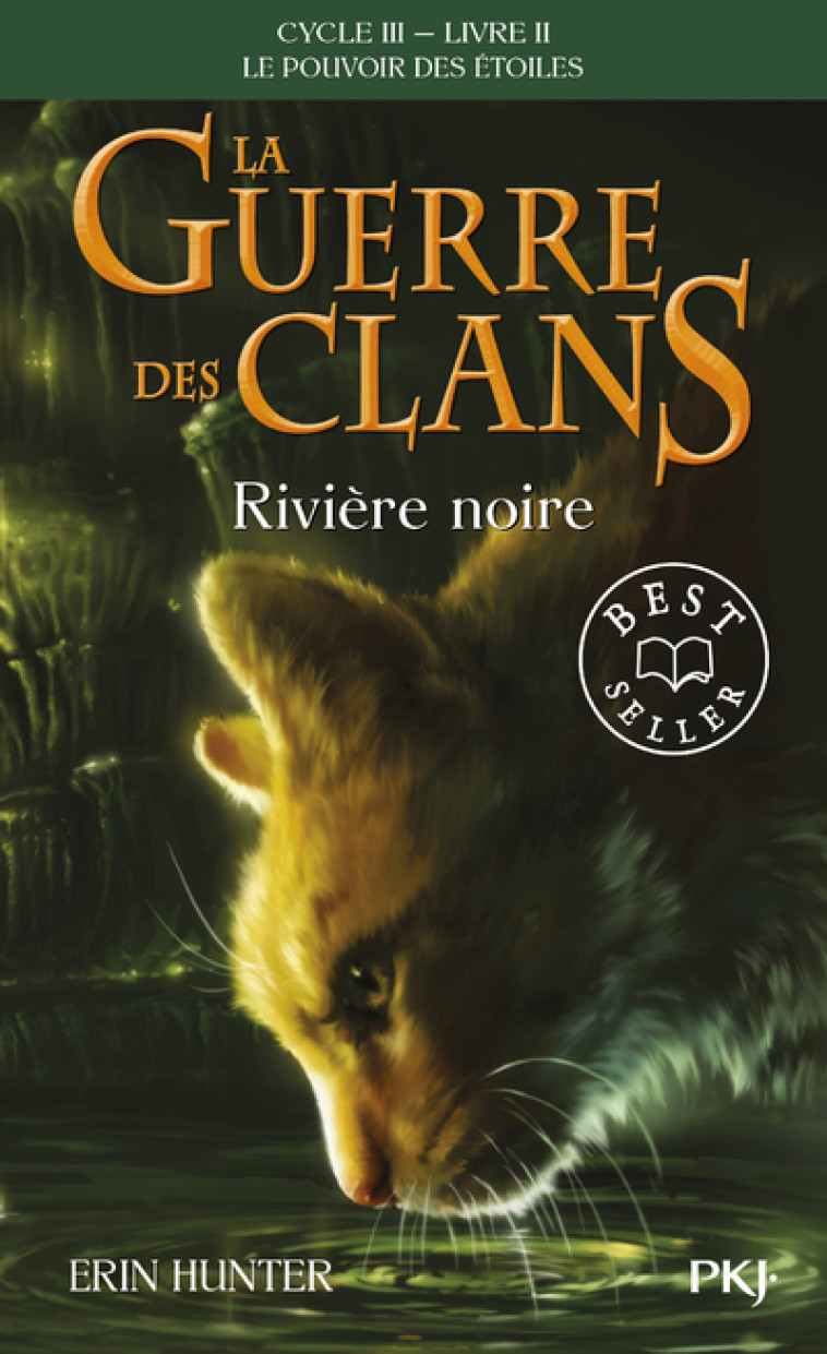 LA GUERRE DES CLANS CYCLE III LE POUVOIR DES ETOILES - TOME 2 RIVIERE NOIRE - VOL02 - Erin Hunter, Aude Carlier - POCKET JEUNESSE