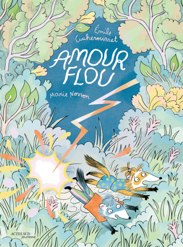 AMOUR FLOU - Emile Cucherousset, Marie Novion - ACTES SUD