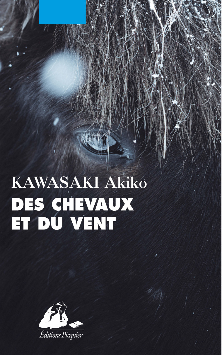 DES CHEVAUX ET DU VENT - Akiko KAWASAKI, Patrick Honnoré, Yukari Maeda - PICQUIER