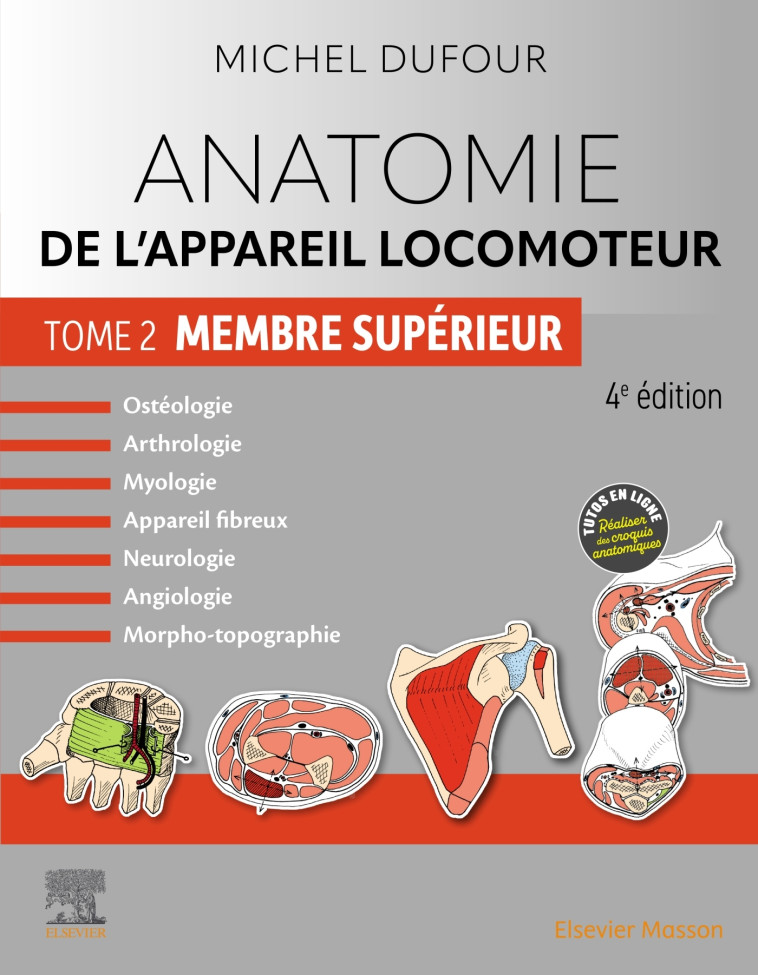 ANATOMIE DE L-APPAREIL LOCOMOTEUR - TOME 2. MEMBRE SUPERIEUR - Michel Dufour - MASSON