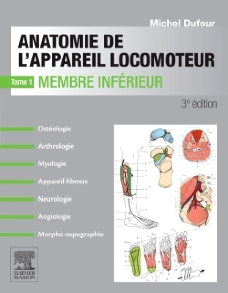 ANATOMIE DE L-APPAREIL LOCOMOTEUR-TOME 1 MEMBRE INFERIEUR - Michel Dufour - MASSON