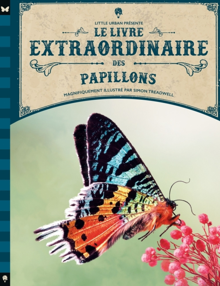 LE LIVRE EXTRAORDINAIRE DES PAPILLONS - Taylor Barbara Taylor Barbara, Treadwell Simon Treadwell Simon - LITTLE URBAN