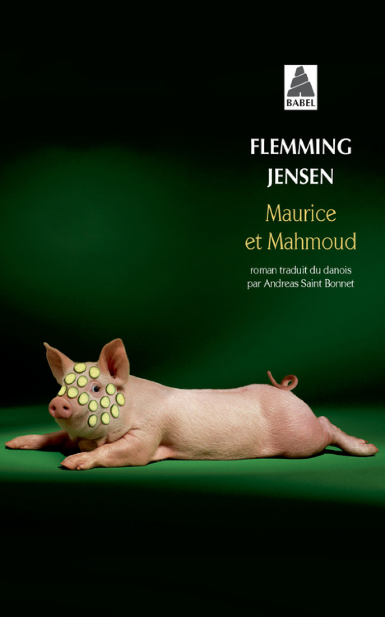 Maurice et Mahmoud - Flemming Jensen, Andreas Saint bonnet - ACTES SUD