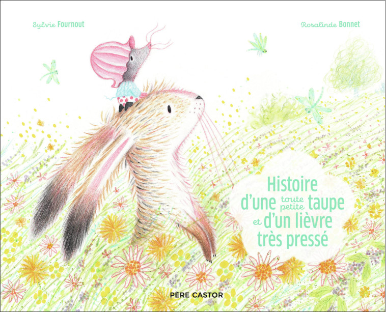 HISTOIRE D-UNE TOUTE PETITE TAUPE ET D-UN LIEVRE TRES PRESSE - Rosalinde Bonnet, Sylvie Fournout - PERE CASTOR