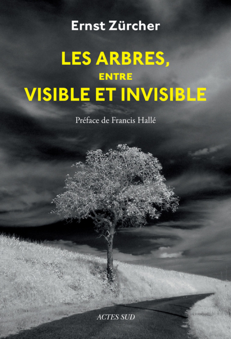 Les Arbres, entre visible et invisible - Ernst Zürcher,  Association arbre et paysage 32, Francis Hallé, Alain Canet, André Hemelrijk, Bruno Sirven, Ernst Zürcher,  Association arbre et paysage 32, André Hemelrijk, Francis Hallé, Bruno Sirven, Alain Canet