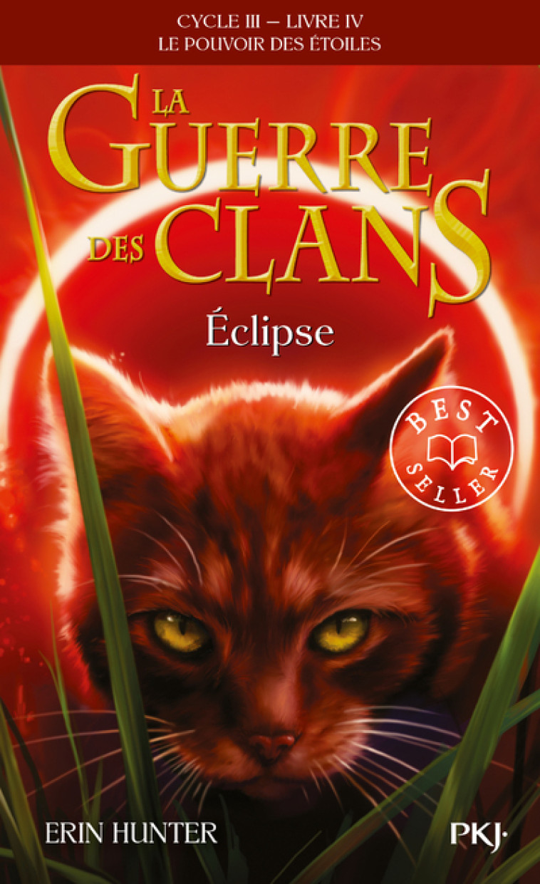 La Guerre des Clans Cycle III Le pouvoir des étoiles - tome 4 Eclipse - Erin Hunter, Aude Carlier - POCKET JEUNESSE