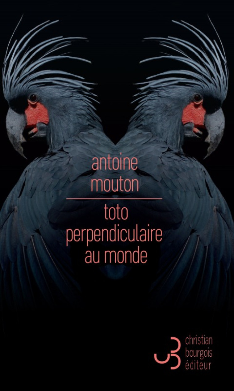 Toto perpendiculaire au monde - Antoine Mouton - BOURGOIS