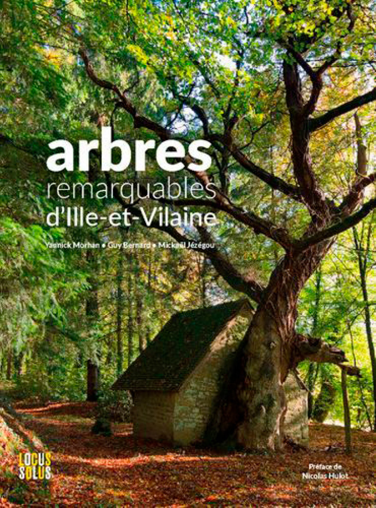 Arbres Remarquables d'Ille-et-Vilaine - Guy BERNARD, JEZEGOU JEZEGOU, Yannick MORHAN - LOCUS SOLUS