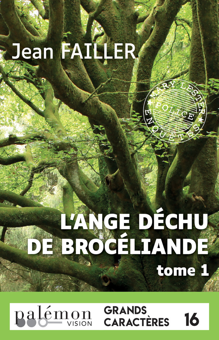 L'ange déchu de Brocéliande - T1 (Grands caractères) - jean failler - PALEMON