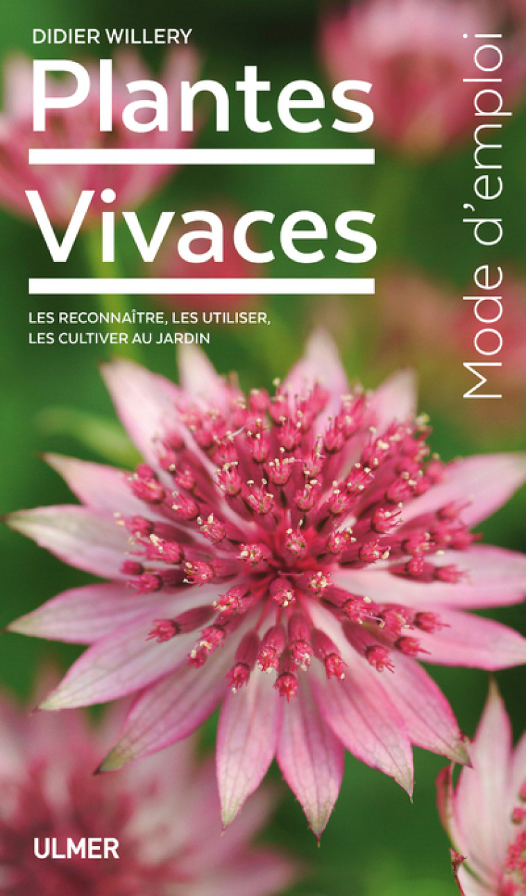 Plantes vivaces - Didier Willery - ULMER