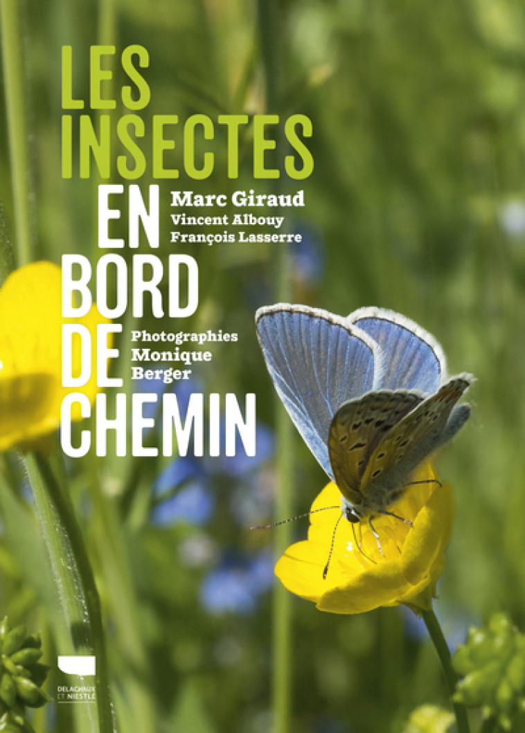 Les Insectes en bord de chemin - Vincent Albouy, François Lasserre, Monique Berger - DELACHAUX