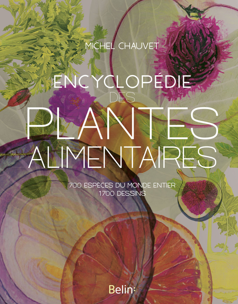 Encyclopédie des plantes alimentaires - Michel Chauvet - BELIN