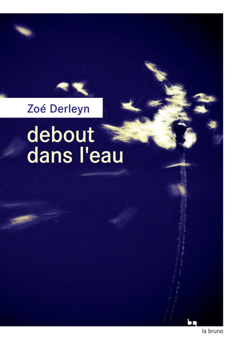 Debout dans l'eau - Zoé Derleyn - ROUERGUE