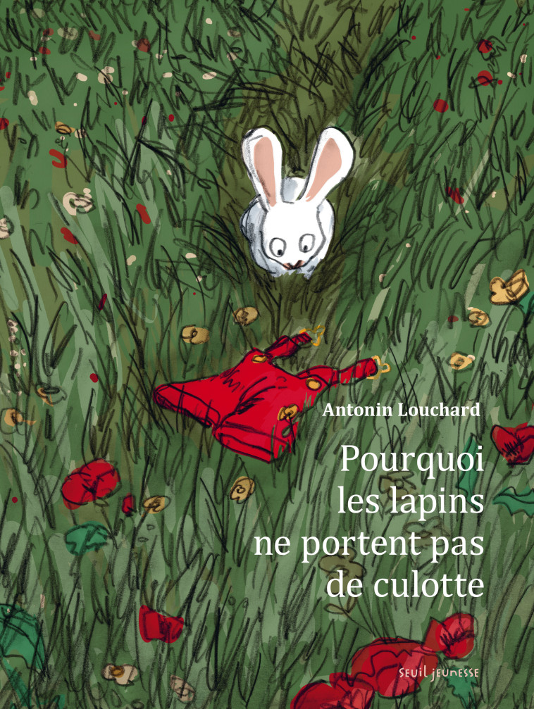 Pourquoi les lapins ne portent pas de culotte  ? - Antonin Louchard - SEUIL JEUNESSE