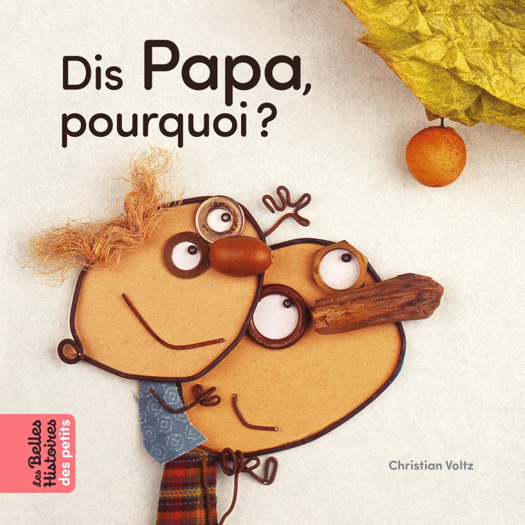 Dis Papa, pourquoi ? - Christian Voltz - BAYARD JEUNESSE