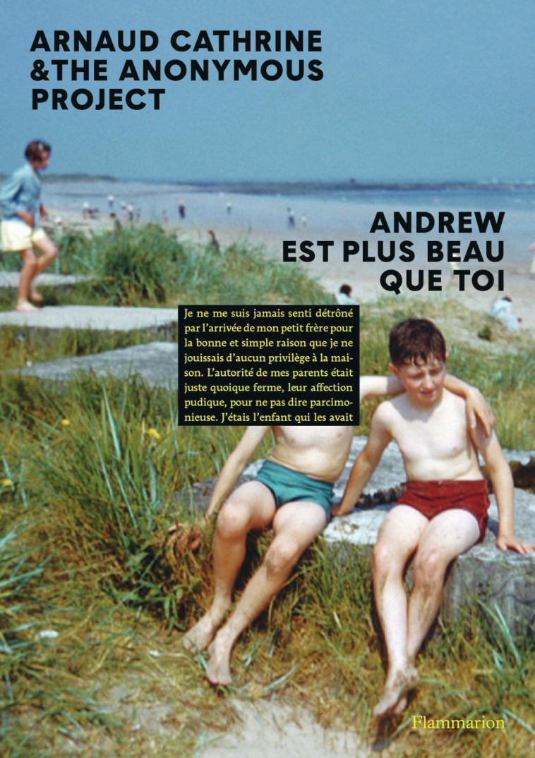 Andrew est plus beau que toi - Arnaud Cathrine - FLAMMARION