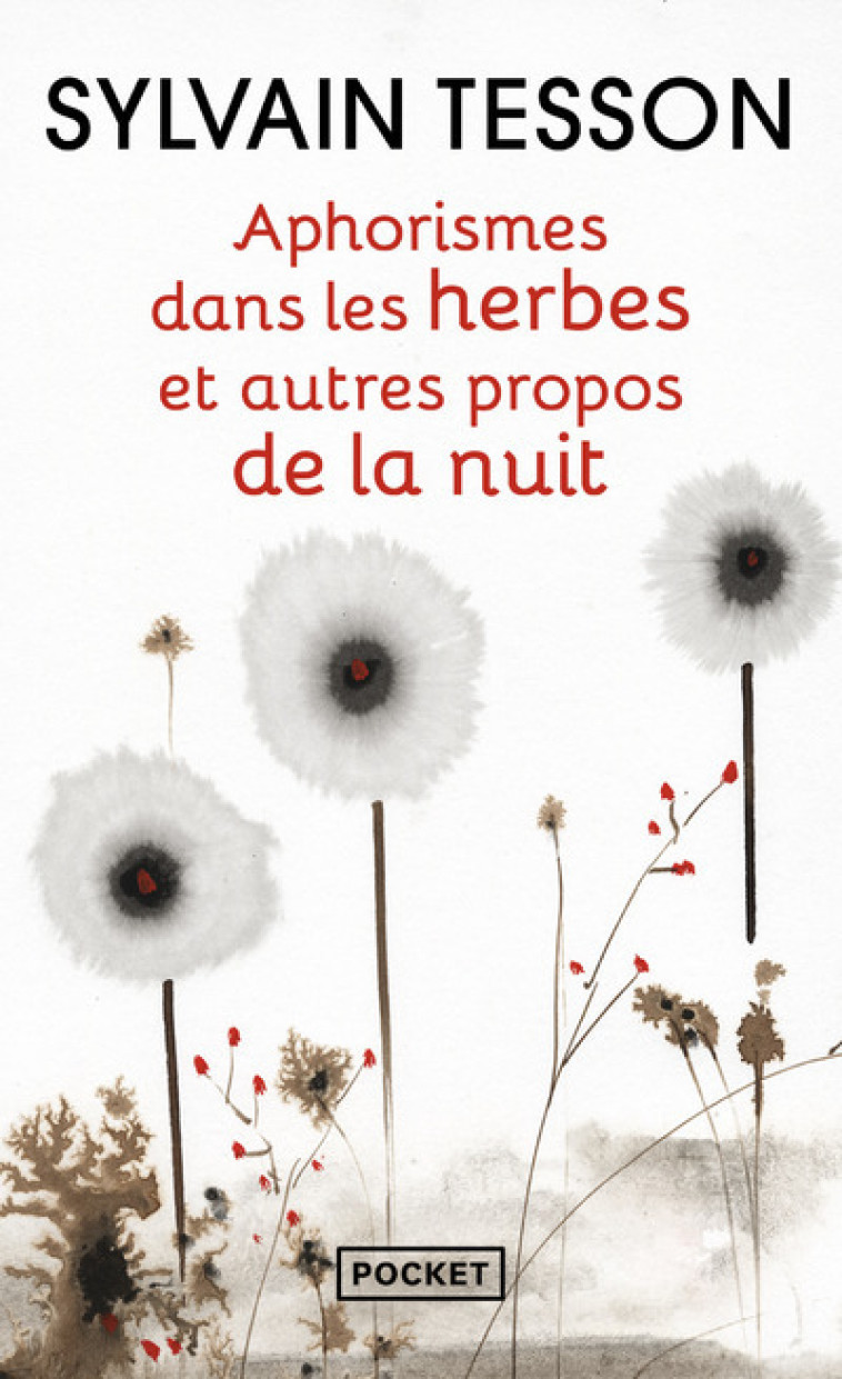 Aphorismes dans les herbes et autres propos de la nuit - Sylvain Tesson, Michel Pinosa - POCKET